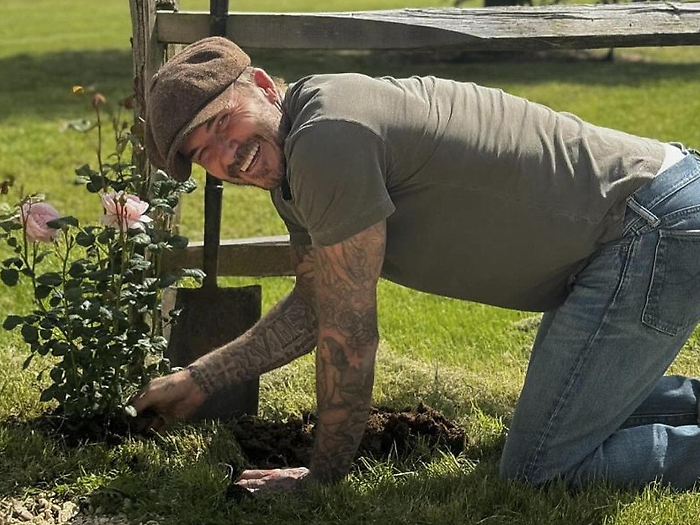 L’arte del giardinaggio conquista le star: da Nicole Kidman a David Beckham fino a Gwyneth Paltrow che coltiva ortaggi. Una terapia urbana.