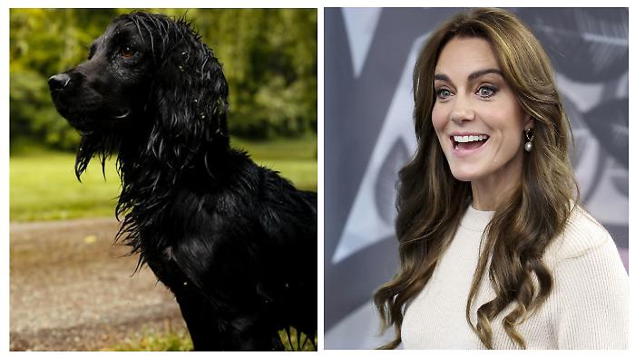 Cuccioli, selfie e un letto condiviso: il lato segreto di Kate e William