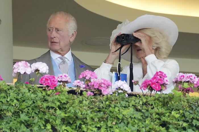Il cavallo della Regina corre per Re Carlo: punta all’Ascot con lo zampino irlandese