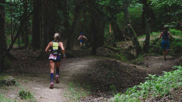 Trail Sacred Forests