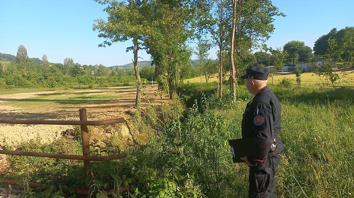 Denuncia carabinieri forestali Gualdo Tadino 