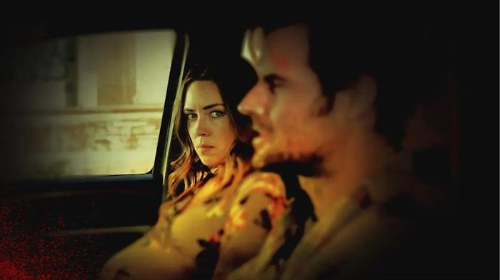 Inganno dal passato stasera in tv sabato 31 maggio su Rai 2: trama e cast del giallo di  Jeff Hare