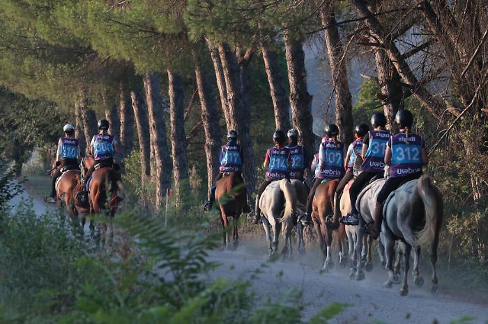 Endurance equestre a Castiglione del Lago