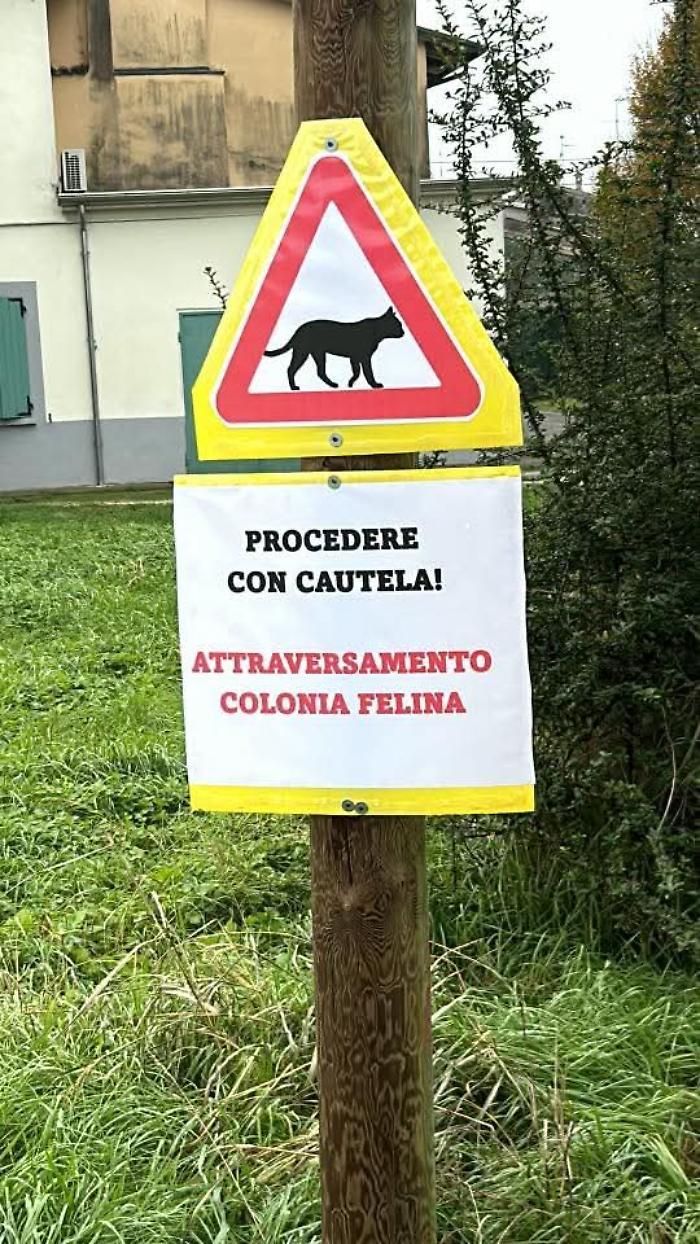 Cartello per colonia felina 