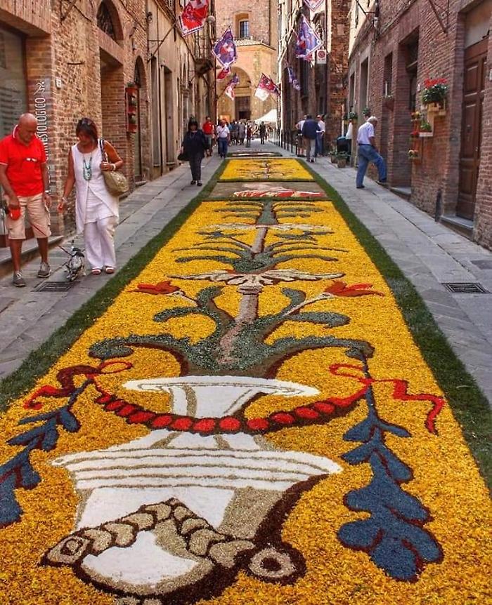 Città della Pieve, l'Infiorata di San Luigi Gonzaga festeggia i 60 anni 