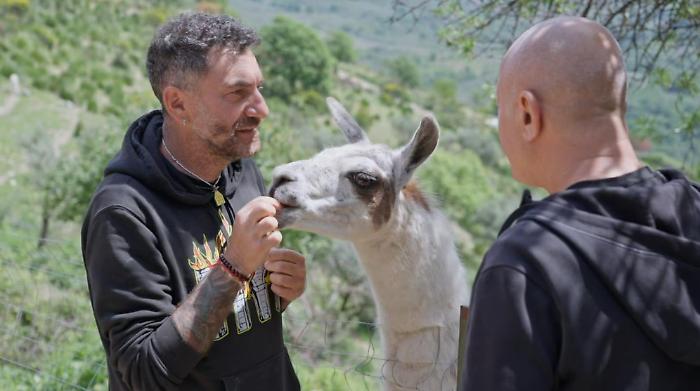 A Che ci faccio qui un rifugio da oltre 600 animali salvati dalla macellazione: anticipazioni della puntata in tv stasera su Rai 3