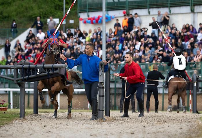 Corsa all'Anello, tutti negativi gli esiti delle analisi antidoping sui cavalli della 57esima edizione della gara equestre