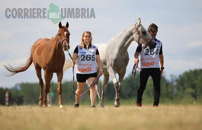 Ecco i primi cavalli a Castiglione del Lago: tutto pronto per lo Zigulì Fei European Championship