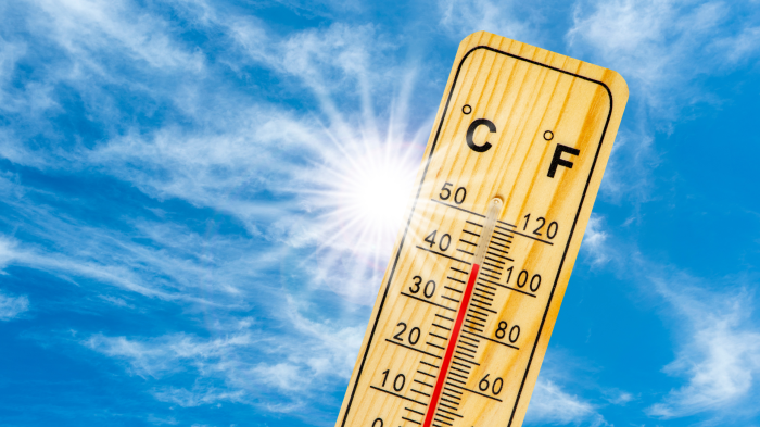 Ondata di caldo africano su mezza Europa, 40 gradi anche in Italia: ecco dove. Le previsioni del tempo