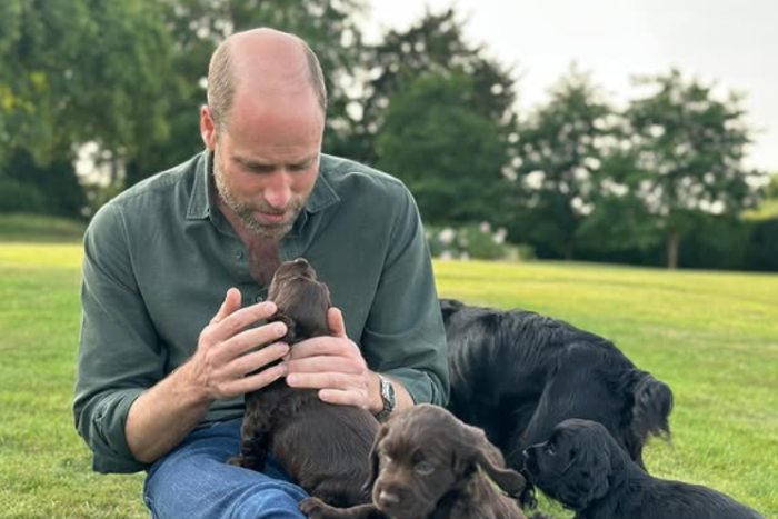 Altro che look: Kate fa il regalo più tenero a William (e rivela un nuovo arrivo a quattro zampe)