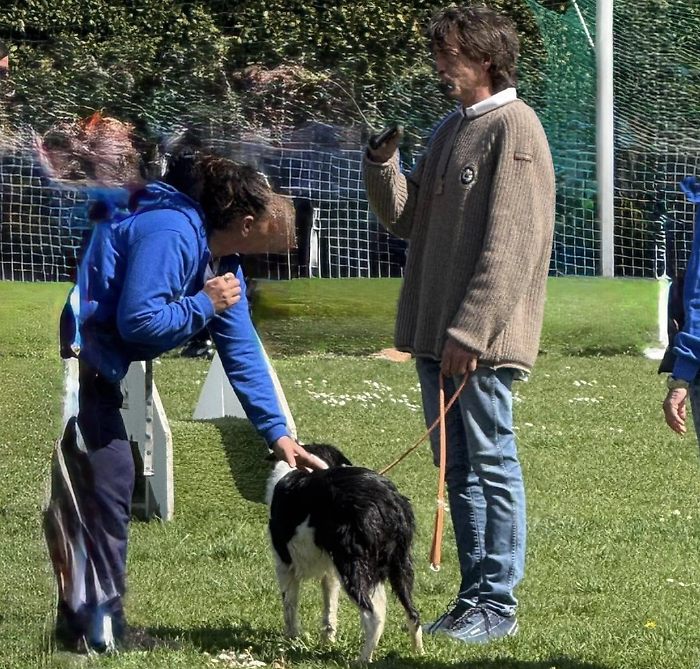 cani amelia molino silla