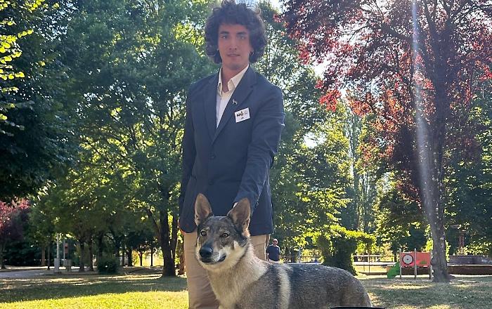 Glyphis_Lorenzo_Gagliardi_Tiferno_Dog_Show