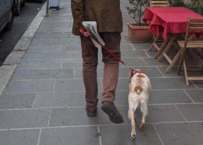 Terni, bottiglietta d'acqua per pulire la strada dalla pipì del proprio cane: ordinanza e multe fino a 600 euro per chi non rispetta le regole