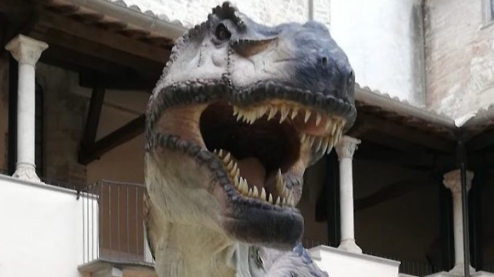 Dinosauri presentazione evento  