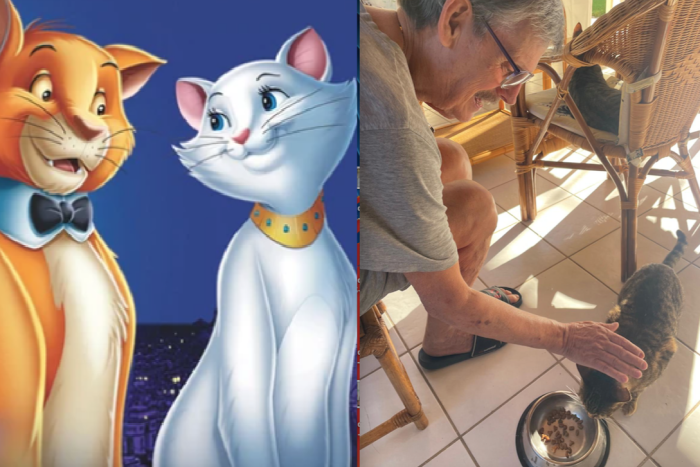 L'architetto Nencioli