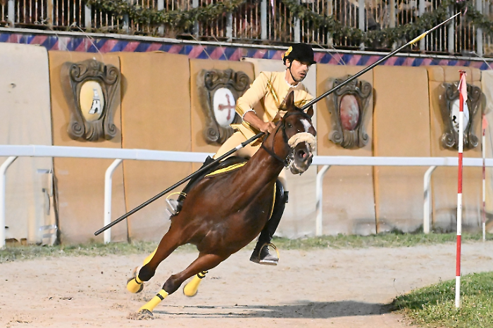 "Innocenzi favorito alla Quintana di Ascoli, ma occhio a Zannori". Allo Squarcia è il Cannibale contro tutti: i pronostici di Margasini
