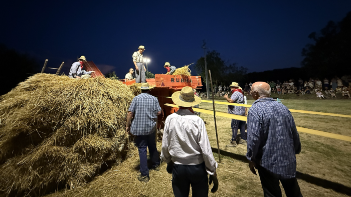 Città di Castello, torna la magia della battitura del grano sotto le stelle di Piosina: scopri l'evento e la tradizione contadina umbra
