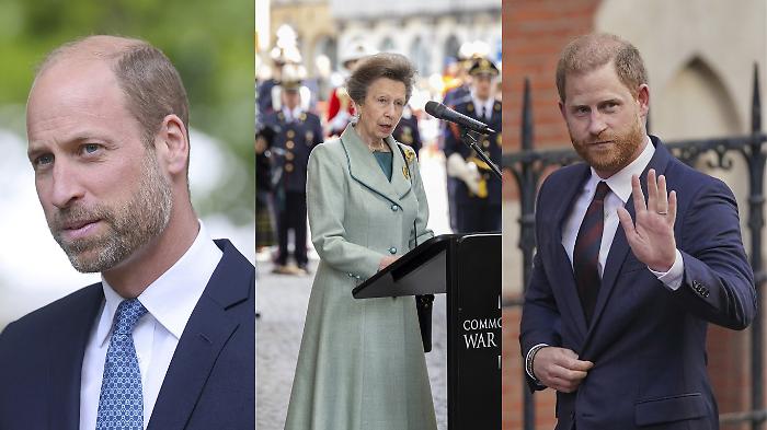 Anna, la "riserva" d’oro. Ecco chi può riportare la pace tra Harry e la famiglia reale