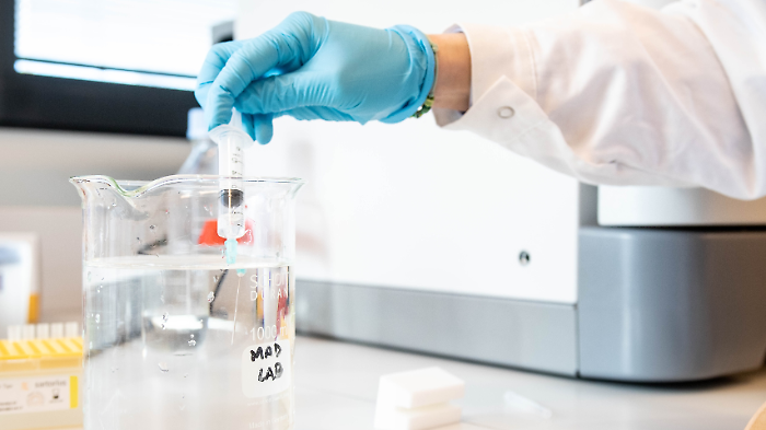 Scoperto un anticorpo monoclonale che offre protezione totale contro l'infezione da Shigella: come funziona