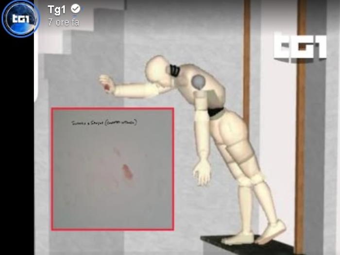 consulenza della difesa di Stasi