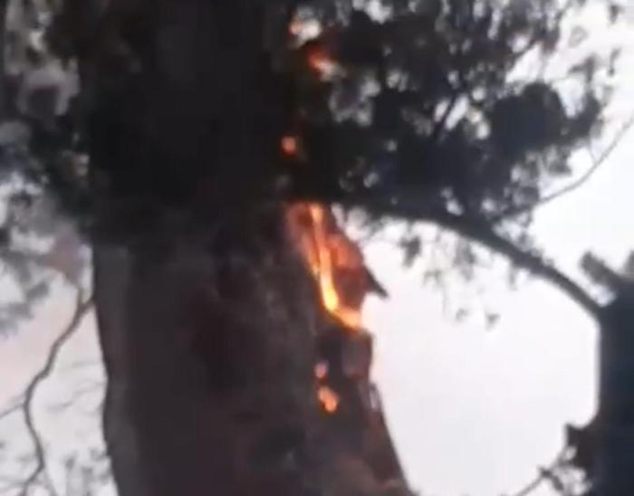 Pioggia e fulmini a San Vetturino: albero in fiamme. Allerta meteo gialla in tutta l'Umbria per temporali