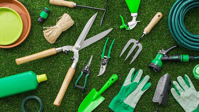 Scopri la guida completa per un prato perfetto: ecco tutti gli attrezzi indispensabili e le migliori offerte per chi inizia da zero