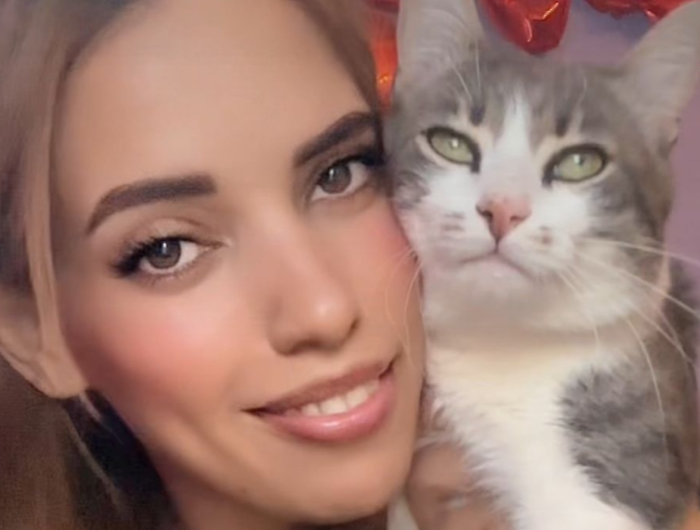 Narni, ritrovato il gatto Tony scomparso un mese fa. Avvistato da un uomo che ha rifiutato la ricompensa. Al lavoro una pet detective