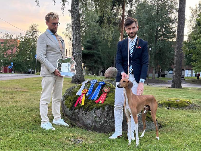 I levrieri più belli del mondo? Sono Città di Castello: Stradivarius e Najla campioni ad Helsinki