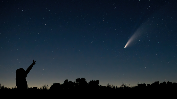 Stelle cadenti, non è San Lorenzo il giorno migliore: ecco quando sarà la vera notte dei desideri