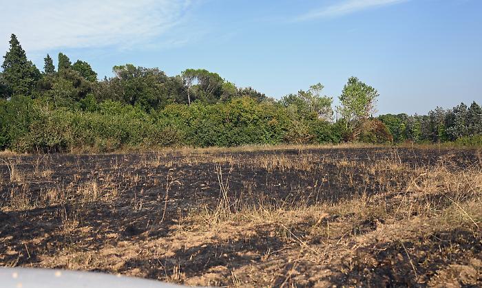Divampa incendio vicino alle case: anche un elicottero per sedare le fiamme