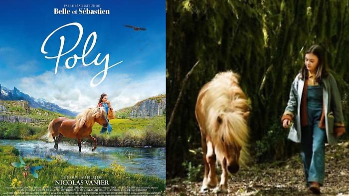 Poly, da star del cinema a icona pop. Perché i pony conquistano tutti 