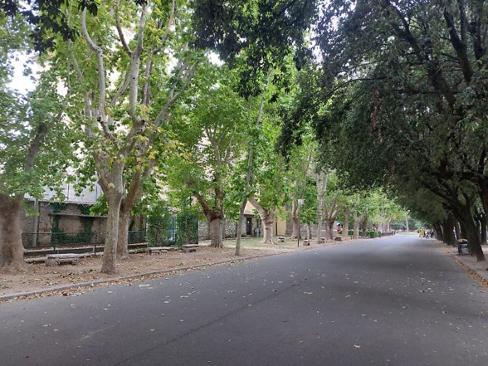 Terni, sit-in martedì 19 agosto alle 19 alla Passeggiata contro il taglio di 18 alberi. "Difendiamo il nostro parco e l’aria dei nostri figli"