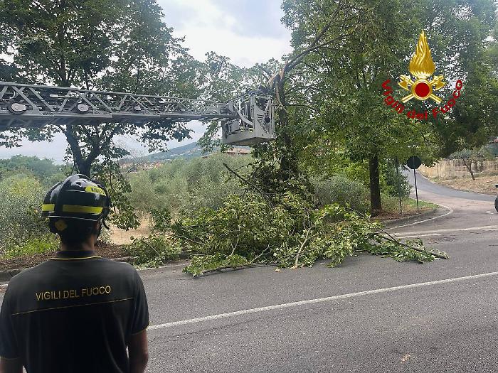 Continuano gli interventi dei vigili del fuoco: oggi già 40 operazioni in provincia di Perugia