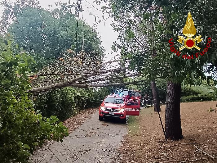 Terni, forti raffiche di vento e brevi bombe d'acqua: numerosi interventi dei vigili del fuoco per rami di alberi spezzati