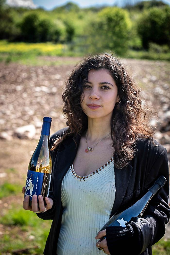 Primodicupi, il bianco ritrovato dei Sibillini. La rinascita del Vissanello e la visione di Ginevra Coppacchioli