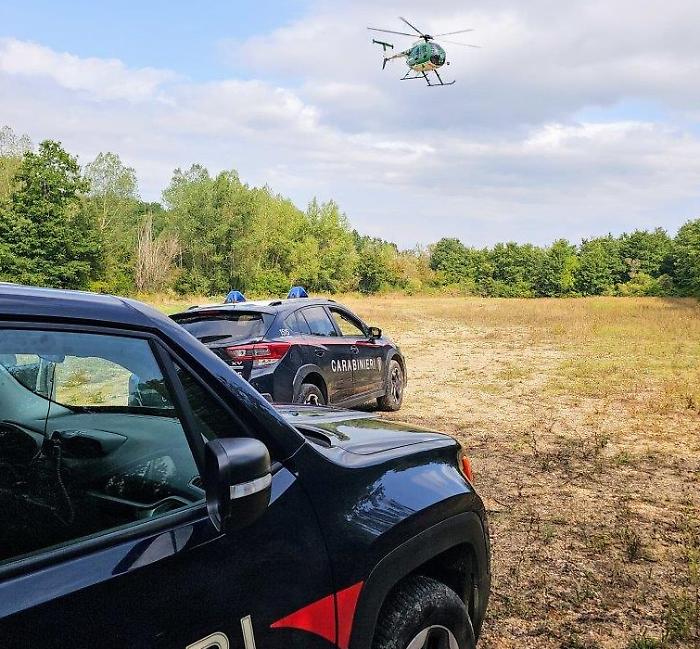 Terni, spaccio di droga, i carabinieri setacciano i boschi e le frazioni di Montecastrilli ed Avigliano Umbro