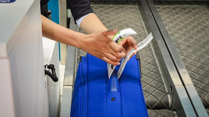 Ryanair, bonus allo staff per intercettare bagagli fuori misura. È polemica