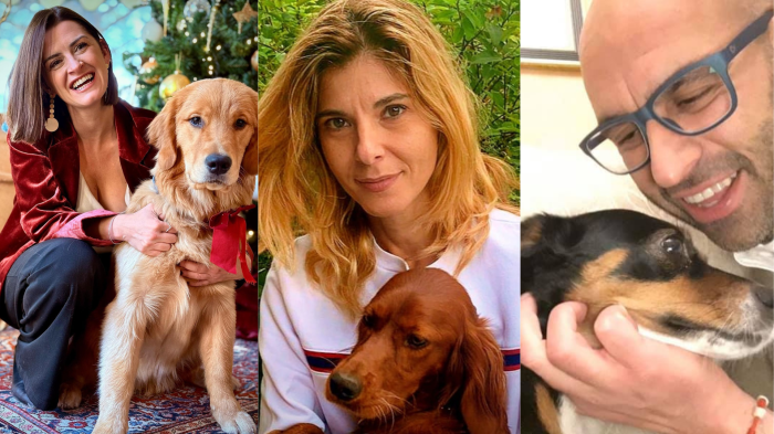Veterinario gratis? C'è già ma con troppi ostacoli