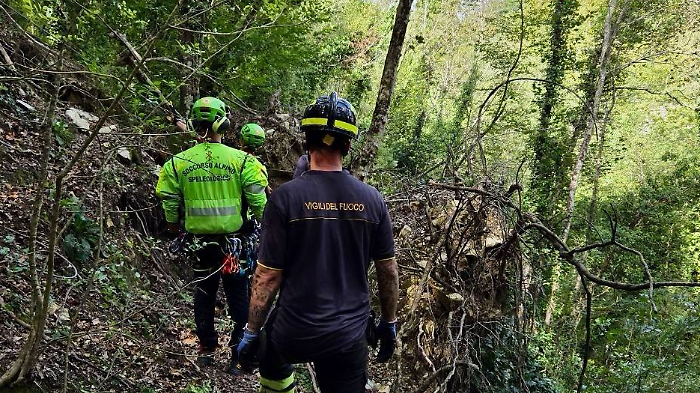 Assisi, anziano travolto e ucciso  da un albero mentre lo stava tagliando