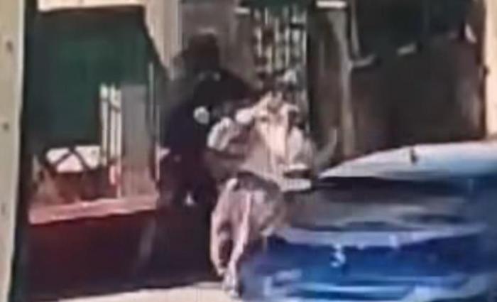 Aggressione folle a Fontivegge, prende la rincorsa e sferra un colpo a una passante senza motivo: il video