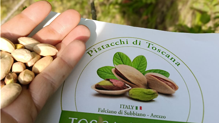 I pistacchi di Francesco Verdini