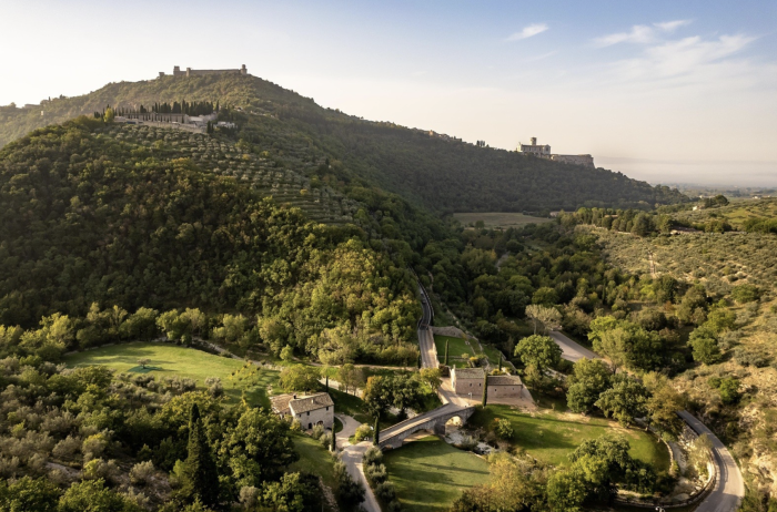 Alla scoperta del Bosco di San Francesco, tra animali selvatici e tesori vegetali dimenticati