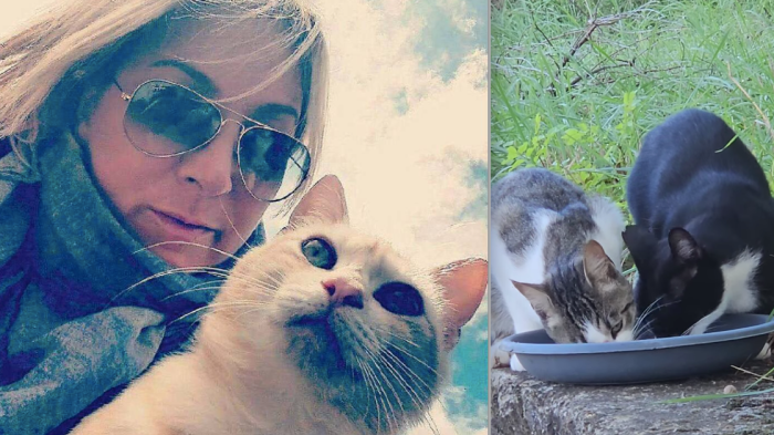 L'incontro con il micio Jack sulla tomba del compagno, 9 anni di premure per i gatti e ora la colonia felina. La storia di Serena