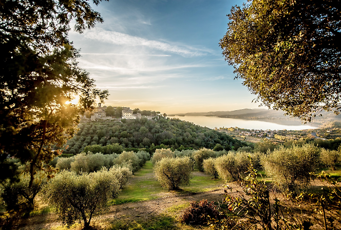 L'Umbria apre la strada a una nuova era dell'olio extravergine e a un nuovo approccio dell'industria olearia: dai reflui del frantoio nasce valore sostenibile ed economico