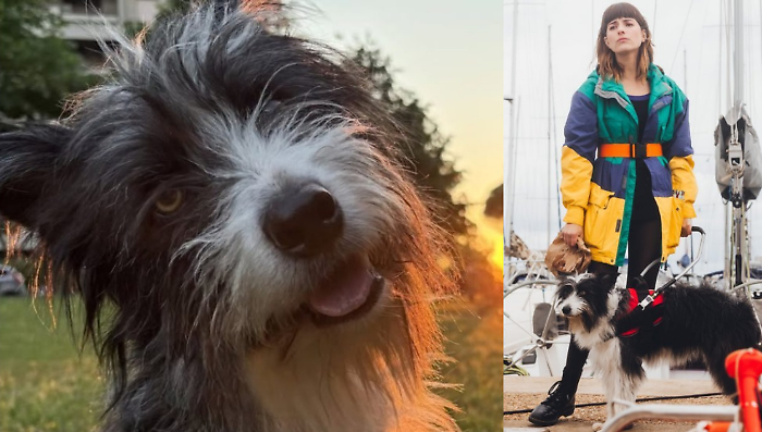 Blanca, il vero nome del nuovo Cane 3 che prende il posto di Linneo nella terza stagione