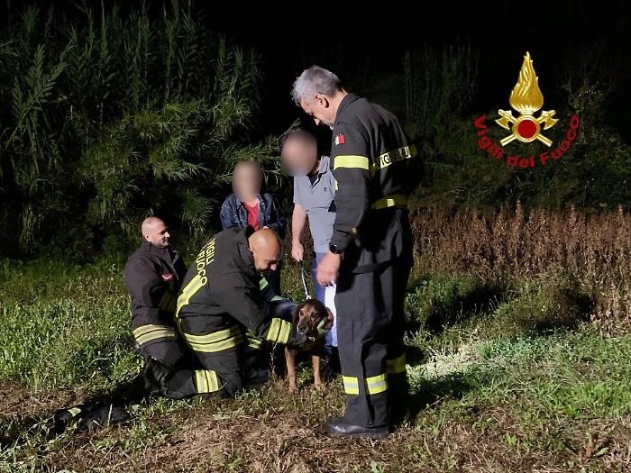 Cane bloccato nella scarpata: salvato dai Vigili del Fuoco