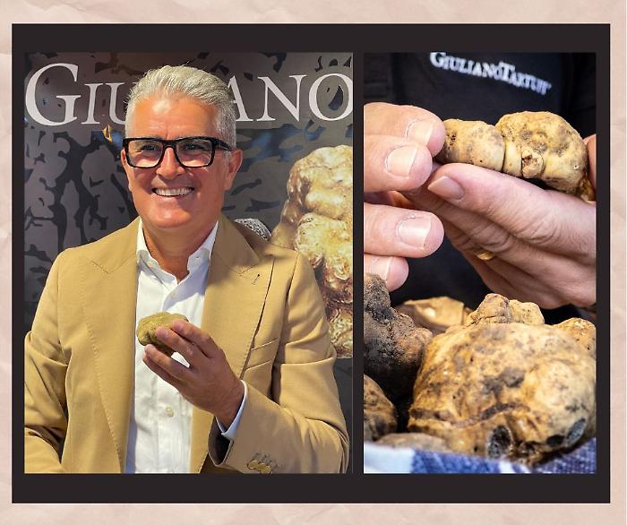 Giuliano Tartufi: eccellenza umbra nella produzione e lavorazione del tartufo