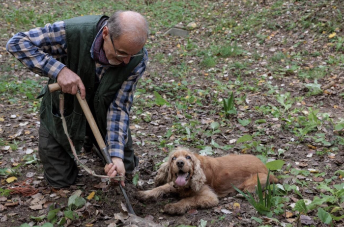 Il cortometraggio Lorenzo e Leo vince al Pet Carpet Film Festival: scopri la storia tifernate del cane cieco campione di tartufi