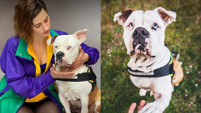 Blanca e le motivazioni dell'addio a Linneo. Che fine ha fatto il cane assente nella terza stagione
