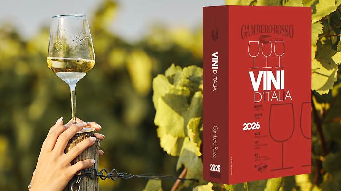 I vini migliori dell'Umbria secondo la guida Gambero Rosso 2026: le etichette premiate con i Tre Bicchieri 
